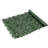 Ivy Privacy Fence