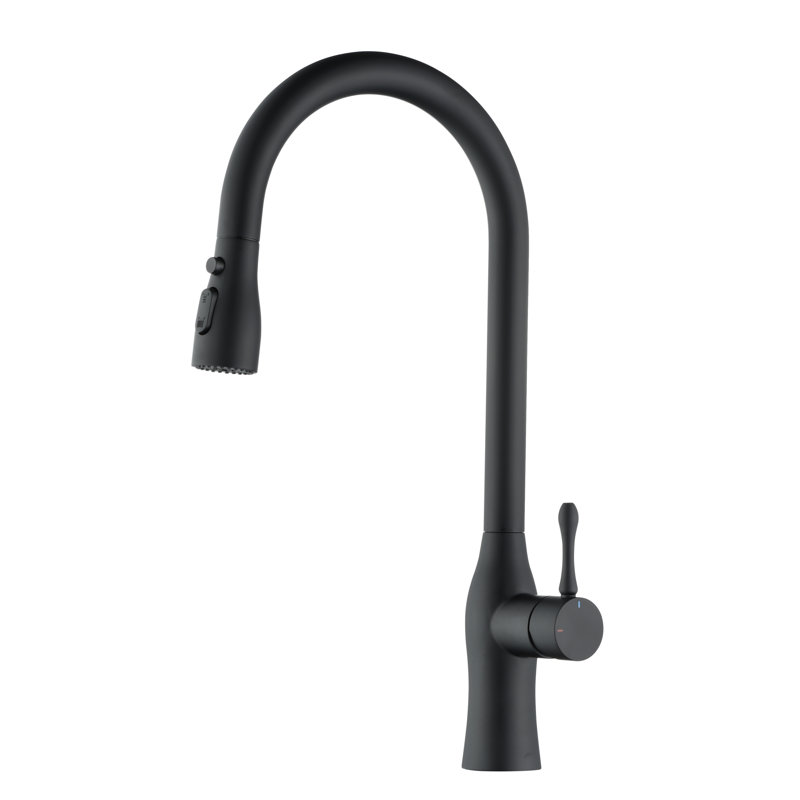 Robinet de cuisine professionnel en acier inoxydable noir mat