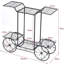 Carolena Metal Plant Stand