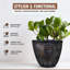 Pot Planter-2075768397