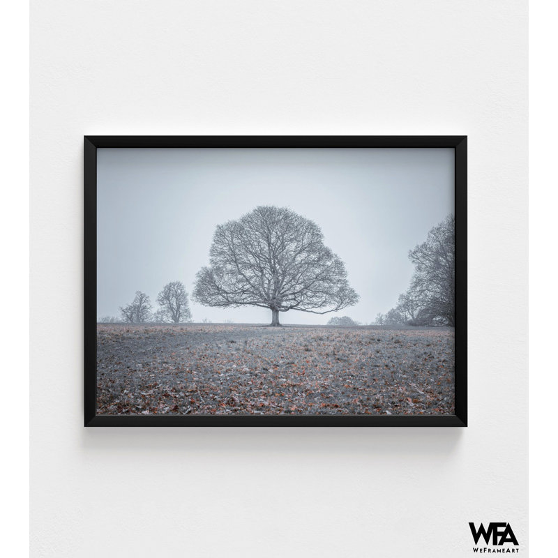 Reproduction de photo encadrée arbre, décor mural paysage de ton froid, impression d'art mural botanique, plantes, décoration murale, art mural encadré, art mural surdimensionné