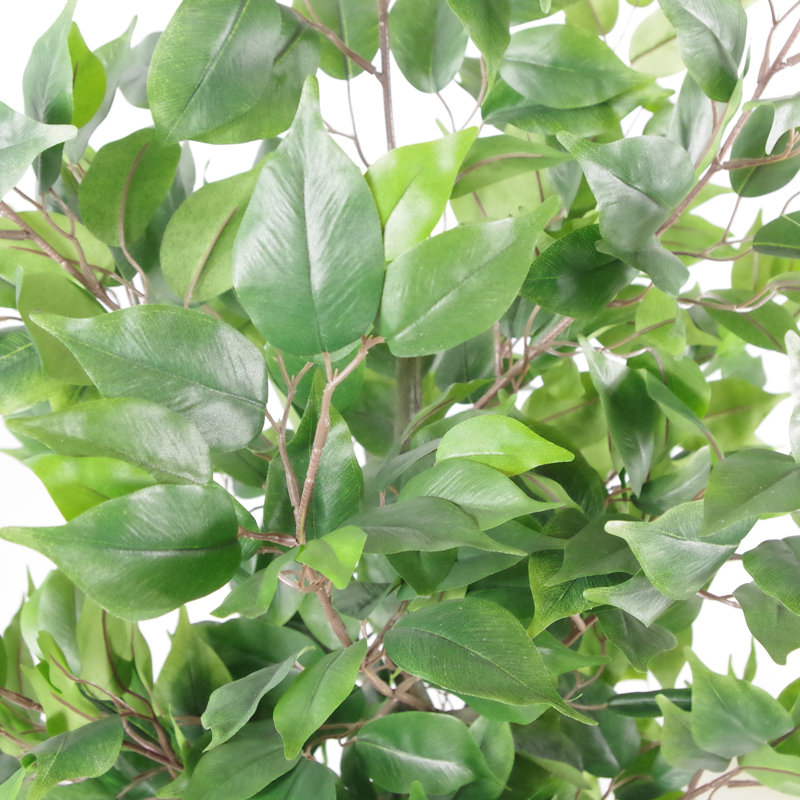 Anivea 110cm Faux Ficus Tree in Pot