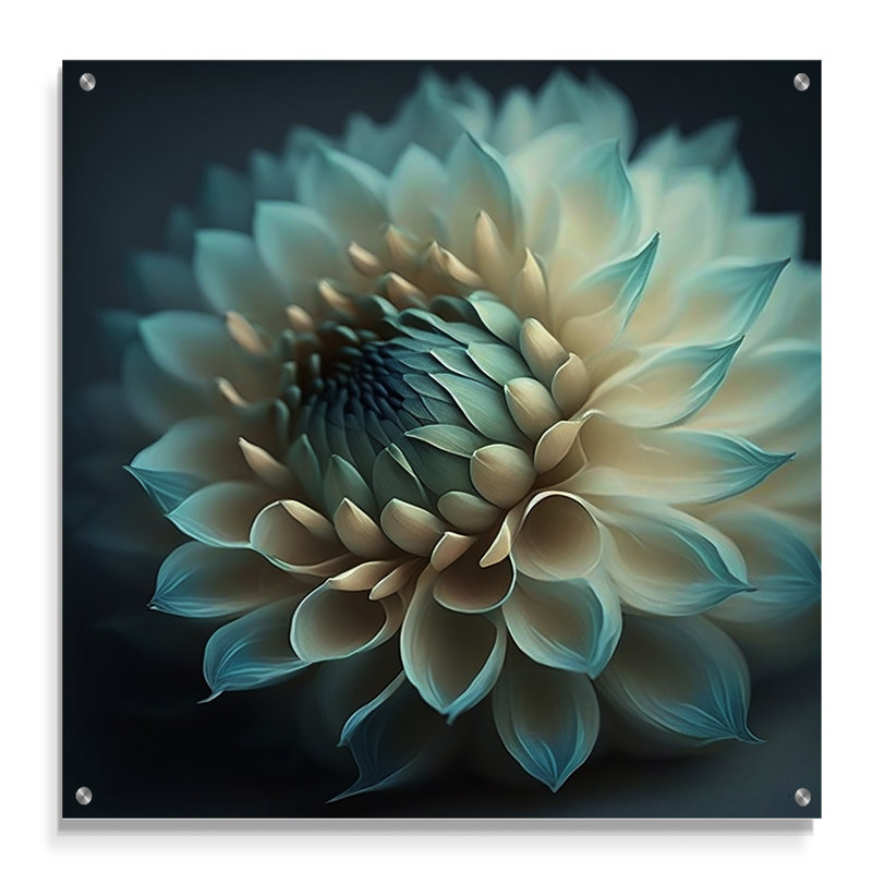 Bleu et blanc fleurs de dahlia V - art mural acrylique Dahlia, H 16 po x l 16 po