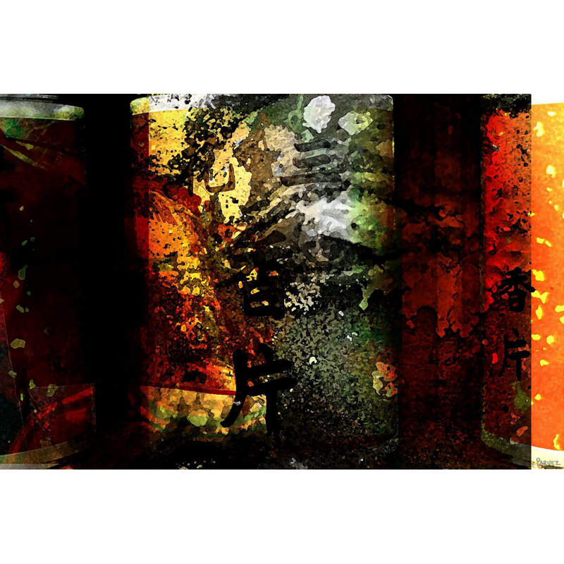 Parvez Taj - Wrapped Canvas Print, 41cm H x 61cm W