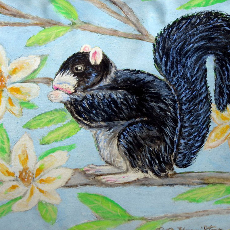  Housse et insert de coussin d'extérieur pour l'extérieur, 11" x 14"