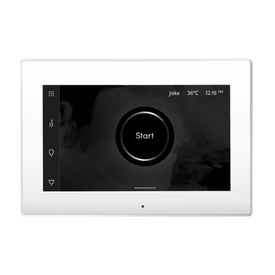 iSteamX Steam Shower Control and Steamhead