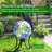 Rovanio Glass Gazing Ball-986222658