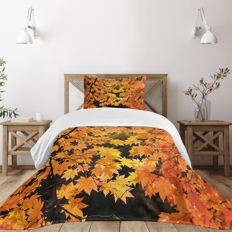 Twin Brown Polyester Kids Unisex Bedspread Set