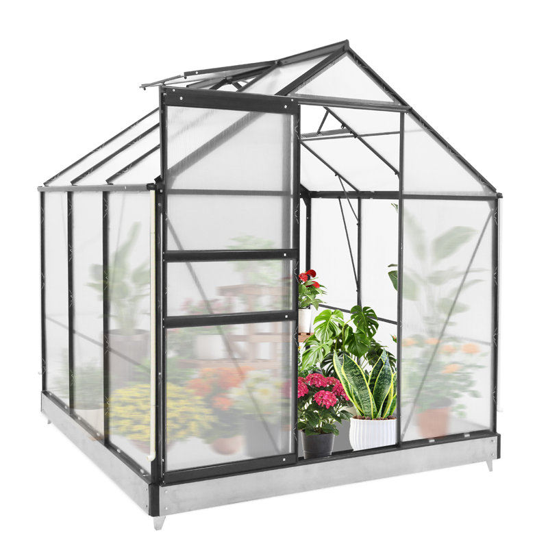 Serres 6 x 6 pi pour l'extérieur, serre en polycarbonate avec panneaux en PC, serres pour l'extérieur pour la cour, le jardin et les loisirs