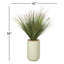 4.5' Onion Grass in Rainey Planter