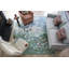 Wildflowers Hand-Tufted Recycled Polyester Indoor/Outdoor Blue Area Rug-1208957156