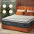 14'' Medium Firm Hybrid Mattress With Cooling Memory Foam And 5-zone Pocket Spring Support-1580144128