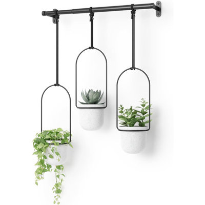 Hanging Planter For Window, Indoor Herb Garden, S...