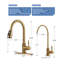 ARCORA Stainless Steel Pull-Down Kitchen Faucet and Water Filter Faucet Combo-101957429