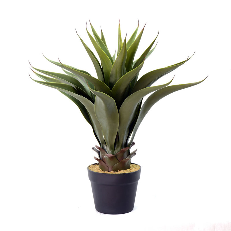 22'' Faux Foliage Succulent in Pot