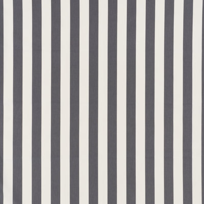 James Stripe Fabric