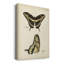 «Woodland Deer», impression sur toile tendue-1600882662