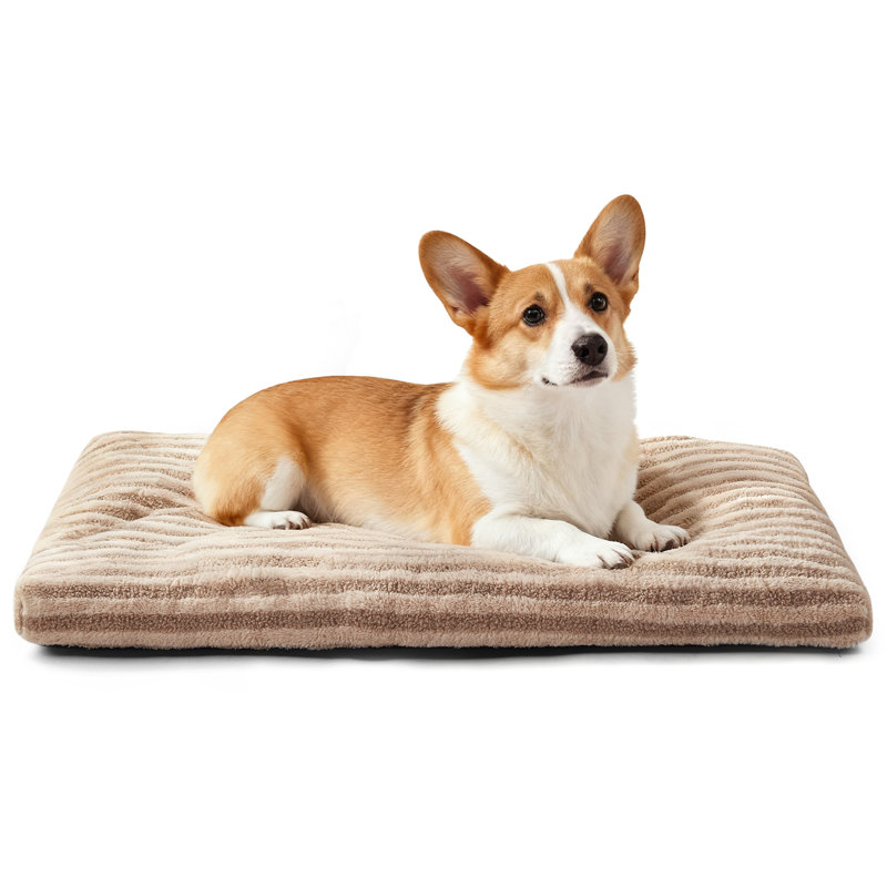 Lit pour animal de compagnie, lit pour chien et chat anti-angoisse, matelas moelleux avec fond antidérapant, tapis pour chien lavable et confortable pour plancher ou cage, brun beige