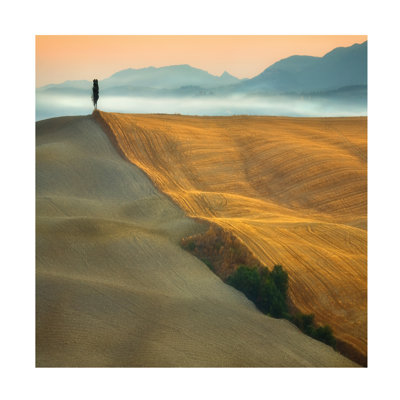 Art mural sur toile tendue - "Cypress" de Krzysztof Browko pour décoration de salon, de chambre à coucher ou de bureau - 35 x 35