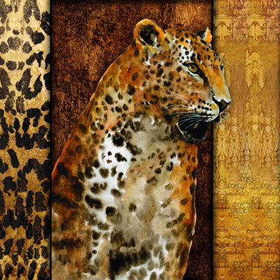 Guépard concentré