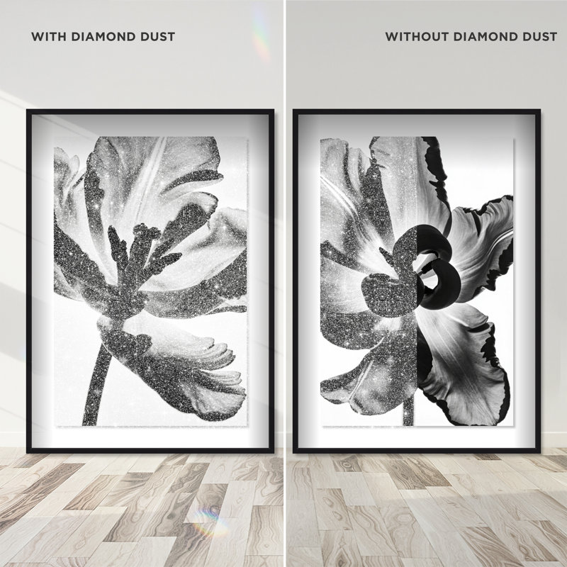 Close Up Set Set by Oliver Gal, 37.5"H x 55.5"W, Black Shadowbox