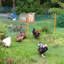 Britinee Vinyl Fence Panels