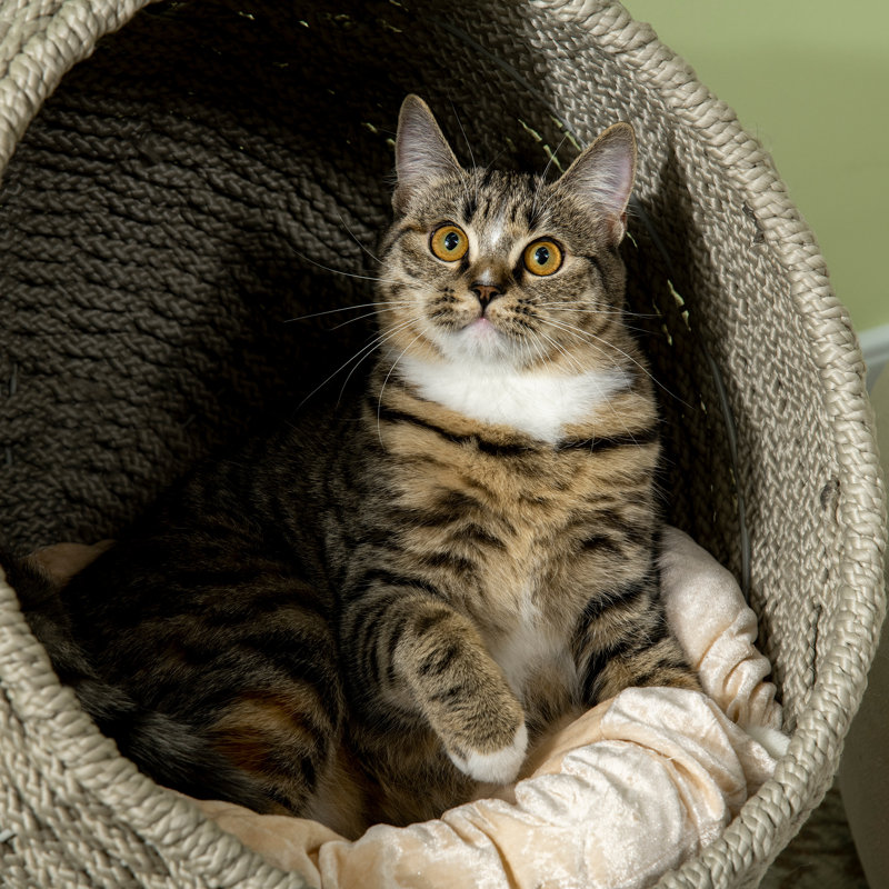 Lit pour chat Comeka, Gris
