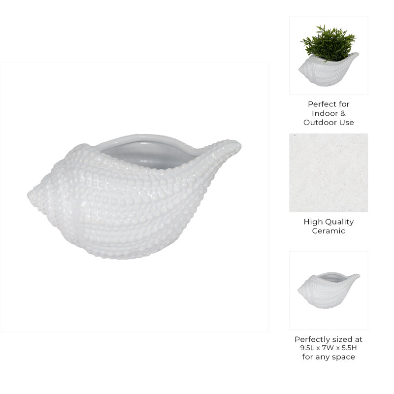 Sagebrook Home 10" Ceramic Seashell Planter - Coastal White Decor Accent