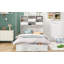 Murphy Bed With Bookcase