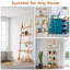 Ladder Bookcase