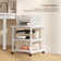 Olias 52.5cm H x 50cm W Printer Stand with Wheels