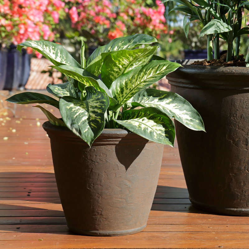 Kristie Round Polyresin Outdoor Planter Pot with a Weather-Resistant Finish - Set of 4, Brown, Set of 4