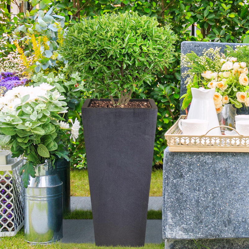 Plant Pot, Dark Grey, 65cm H x 32cm W x 32cm D