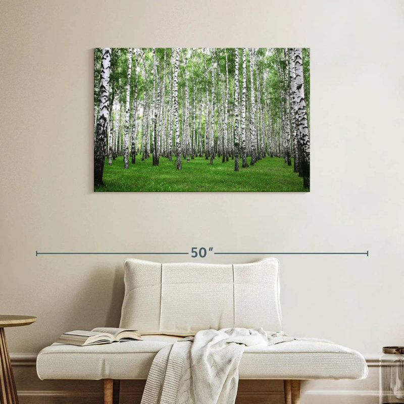 Alvord Birch Grove, 26" H x 39" W