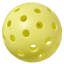 Ensemble de pickleball: sauge de ruppie maritime-126132236
