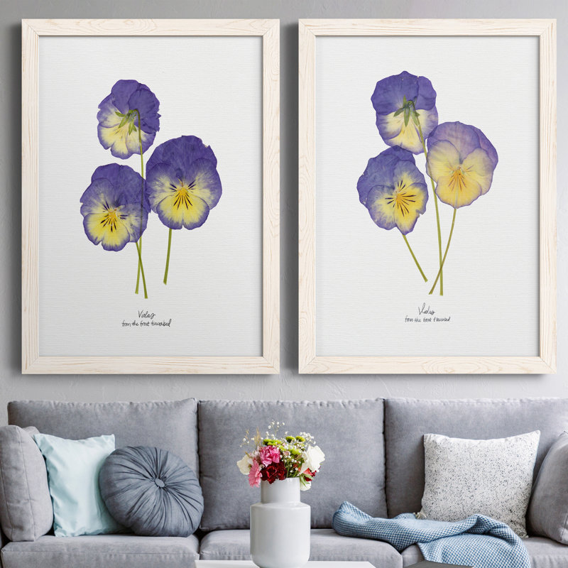 Pressed Violas I - Ensemble de 2 peintures sur toile encadrées, Blanc, H 31,5 po x l 47 po x P 1,5 po