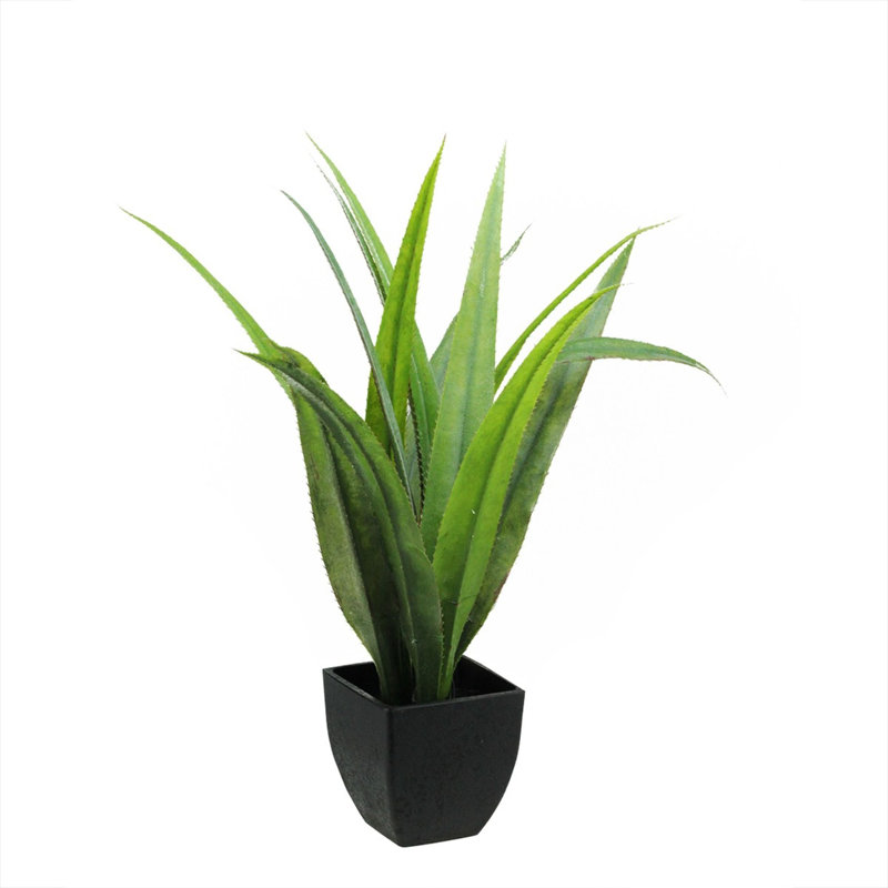 Plante grasse artificielle verte et noire 21,5 po