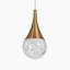 Luminaire suspendu à 1 lumière DEL Chantae