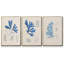 Algues bleu marine VI-91887796-91887795