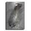 «Feather Shadow IV» par Debra Van Sw, «Feather Shadow IV» par Debra Van Swearingen-101632481