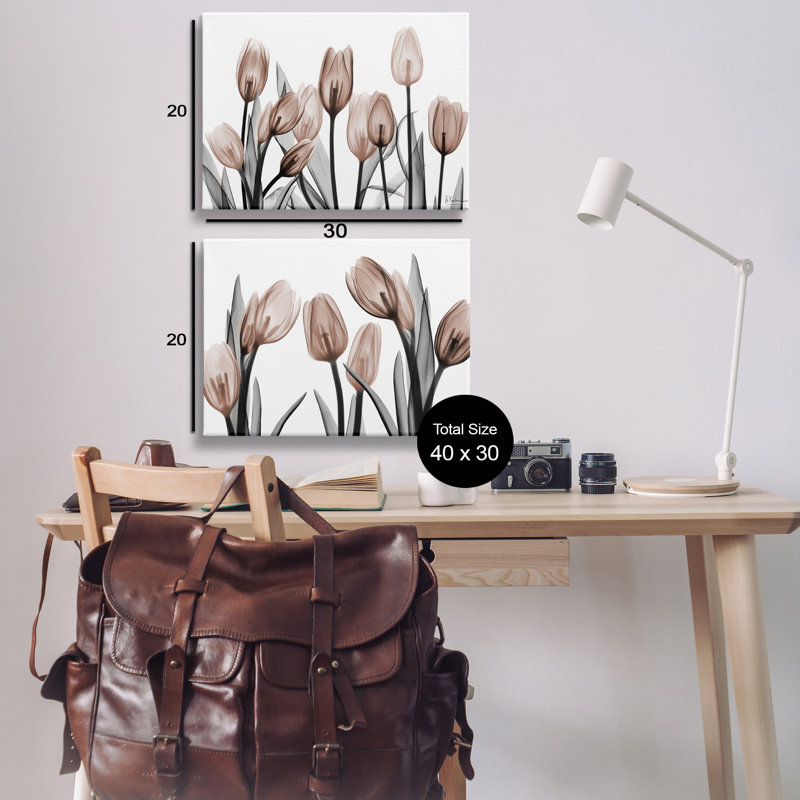 Ensemble de 2 tulipes translucides en moka translucides, design par Albert Koetsier, H 20 po x l 30 po