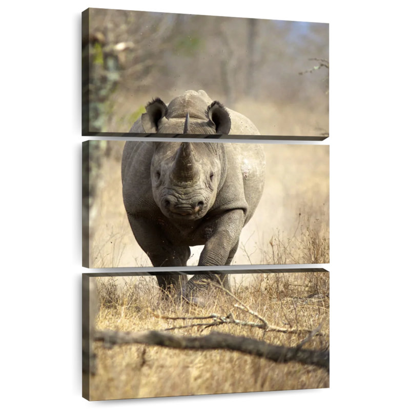 Brampt Black Rhino