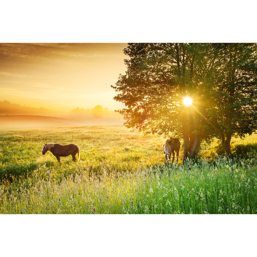 Farmland Landschaft - Kunstdrucke auf Leinwand