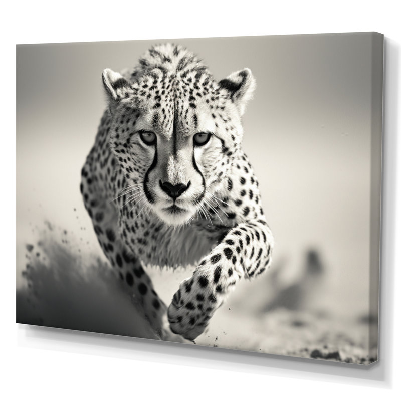 " Africa Cheetahs Speed ", 16" H x 32" W x 1" D, Wrapped Canvas