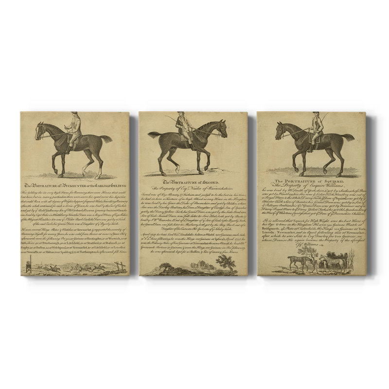 Horse Portraiture IV - Toile tendue avec châssis sur mesure - 3 pièces, H 60 po x l 120 po
