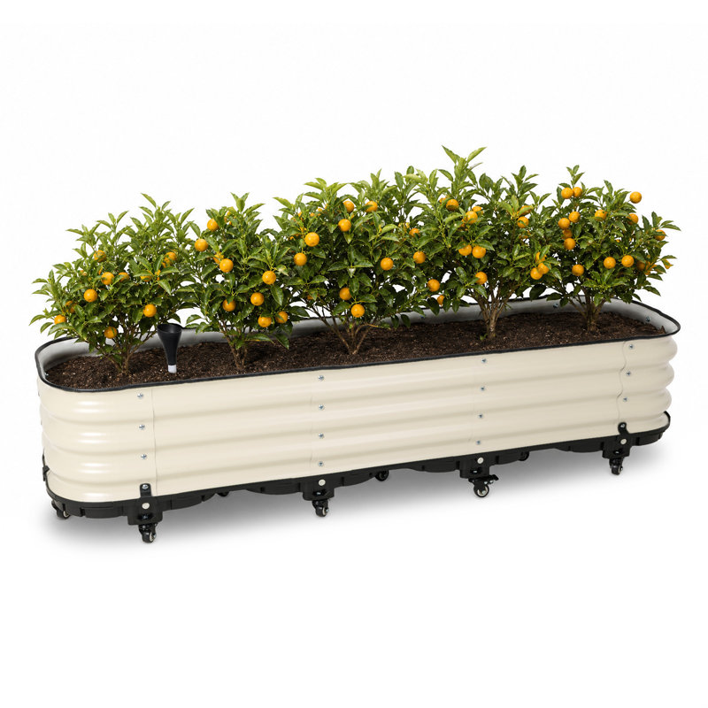 Jardinière galvanisée à arrosage automatique, L 63 po x P 16,5 po x H 11,2 po, Beige