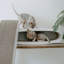 District70 2-in-1 Cat Scratcher Oval Office