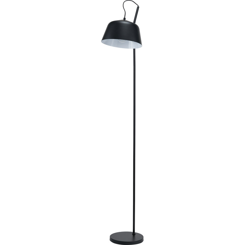 Taleya 170cm Matte Task Floor Lamp, Black
