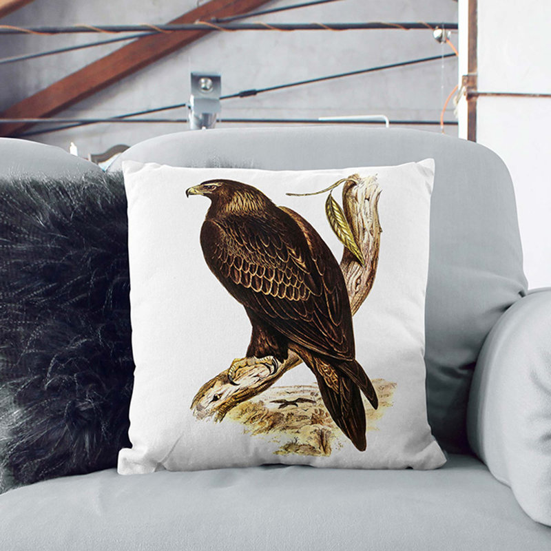 Square Cushion, Black, 55cm H x 55cm W x 20cm D