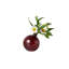Glass Sphere Bud Vase-768581684